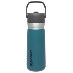 The Go Flip Straw Water Bottle | 22 OZ
