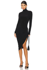 Long Sleeve Turtleneck Side Drape Dress