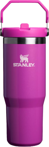 Stanley 30 Oz. IceFlow Flip Straw Tumbler - Winter Wonderland Collection