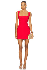 Aneira Mini Dress