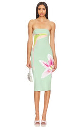 Luna Moth Dress