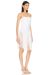 x REVOLVE Fringe Dress