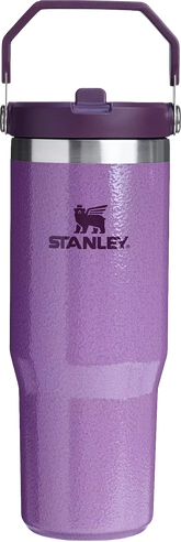 Stanley 30 oz. IceFlow Flip Straw Tumbler