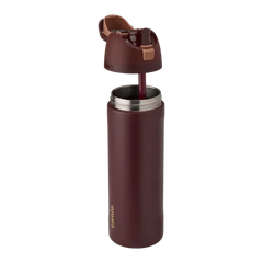 Owala Merry Bright Cinnamon 24oz Stainless Steel FreeSip Water Bottle