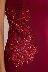 Aylana | Burgundy Bandeau Maxi Dress With Embellishment Detail