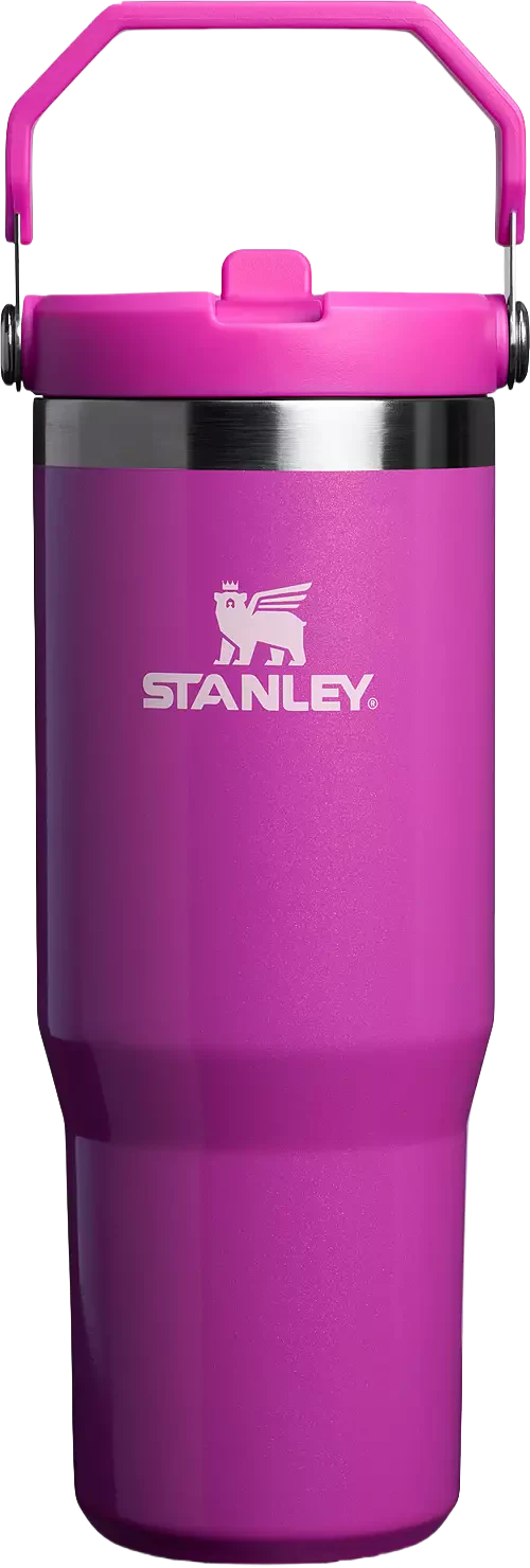 Stanley 30 Oz. IceFlow Flip Straw Tumbler - Winter Wonderland Collection