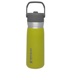 The Go Flip Straw Water Bottle | 22 OZ