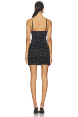 Stella Mesh Mini Dress