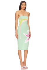 Luna Moth Dress