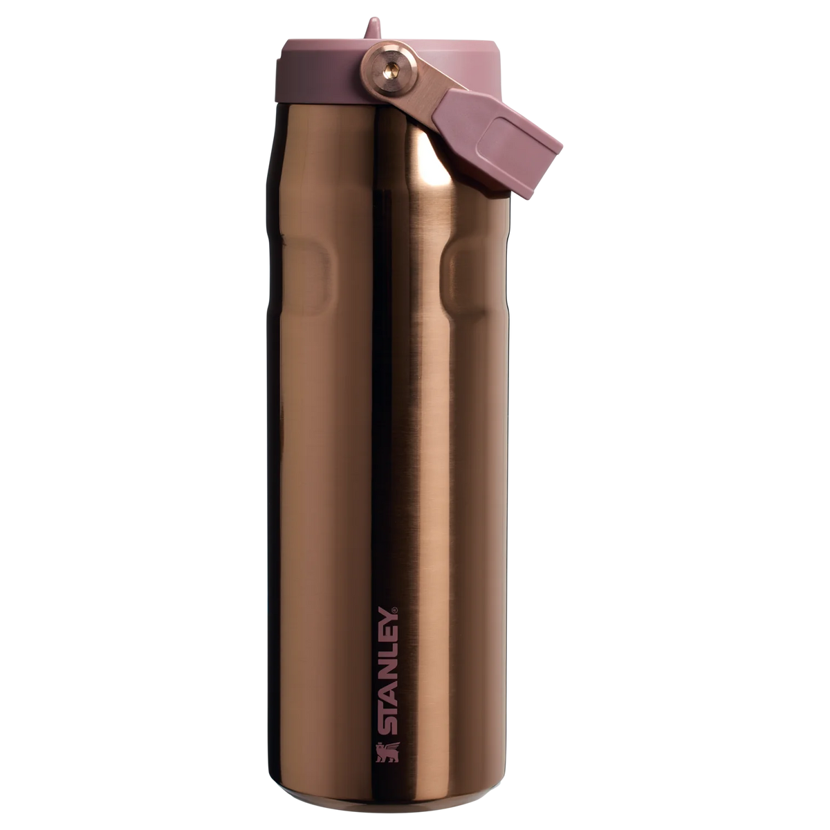 The IceFlow™ Bottle with Flip Straw Lid | 24 OZ